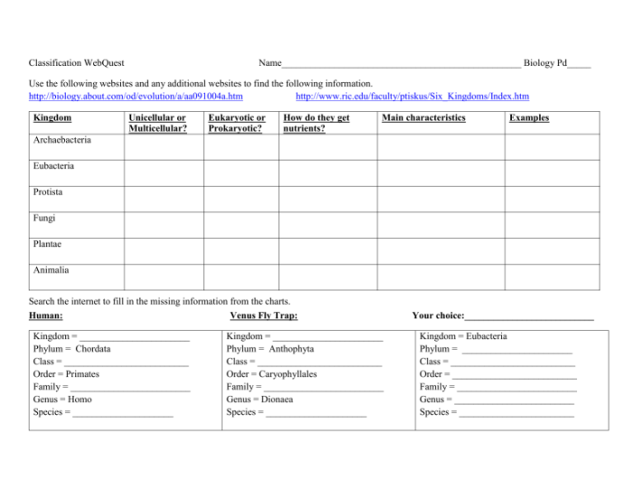 Classification system webquest answer key