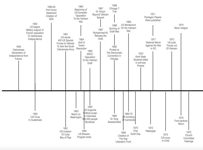 Anti-vietnam war movement graphic organizer