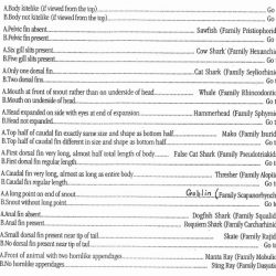 Classification system webquest answer key