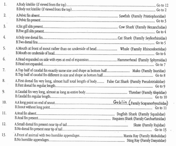 Classification system webquest answer key