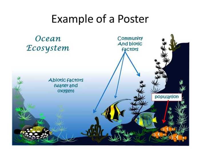 Coral reefs 1 abiotic factors gizmo