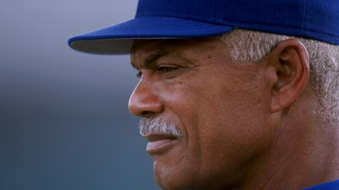 Felipe alou book in english