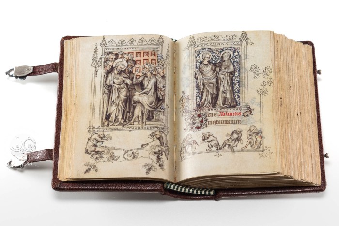 Book of hours of jeanne d'evreux