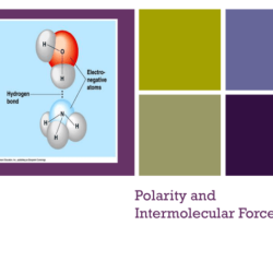 Polarity and intermolecular forces gizmo answers