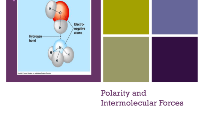 Polarity and intermolecular forces gizmo answers