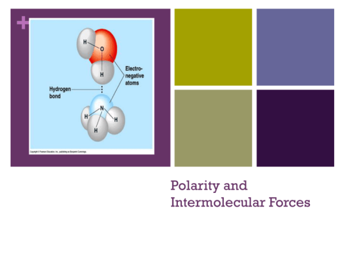 Polarity and intermolecular forces gizmo answers