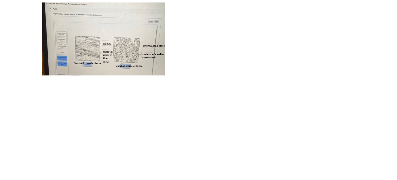 Labeling tissue solved adipose smooth tissues transcribed