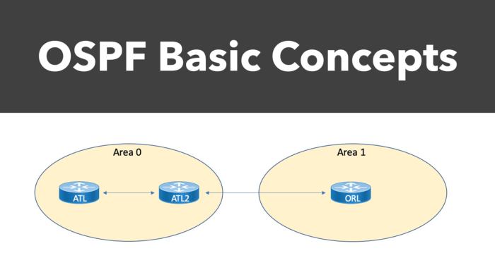 An engineer configured an ospf neighbor as a designated router