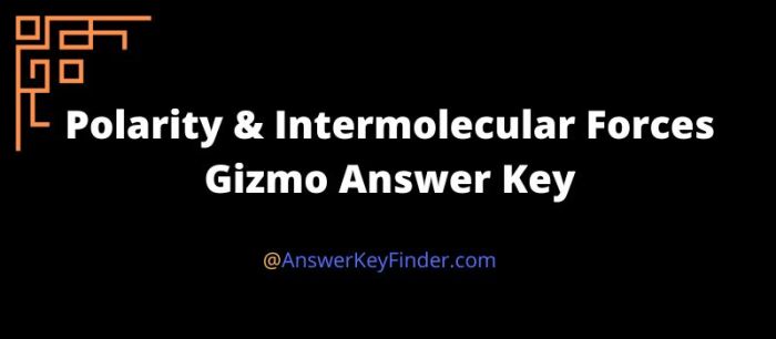 Polarity and intermolecular forces gizmo answers