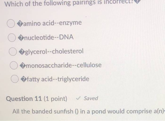 Which of the following pairings is incorrect