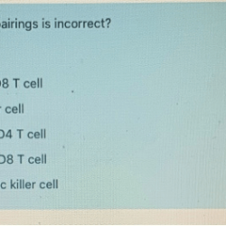 Solved incorrect pairs following which transcribed problem text been show has