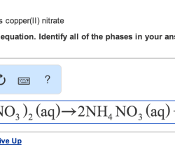 Following strong electrolyte solutes weak nonelectrolyte each classify solved acid carbonate sodium barium silver copper potassium nickel solubility acetic predict